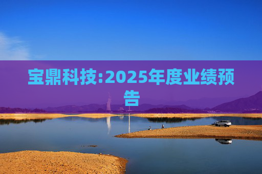 宝鼎科技:2025年度业绩预告