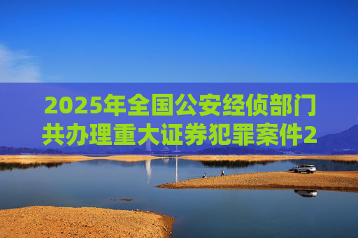 2025年全国公安经侦部门共办理重大证券犯罪案件200余起