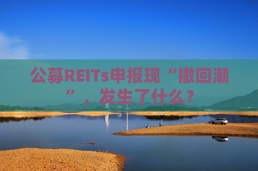 公募REITs申报现“撤回潮”，发生了什么？
