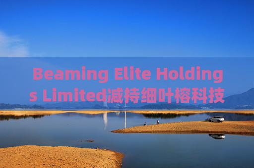 Beaming Elite Holdings Limited减持细叶榕科技(08107)254.5万股 每股作价0.1776港元