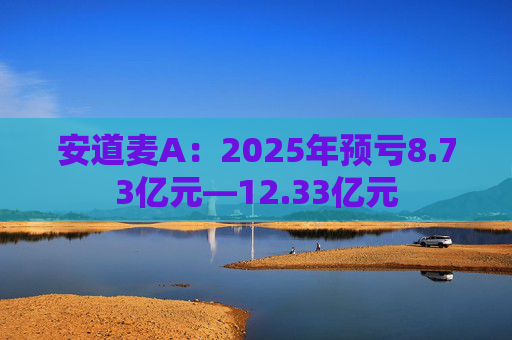 安道麦A：2025年预亏8.73亿元—12.33亿元