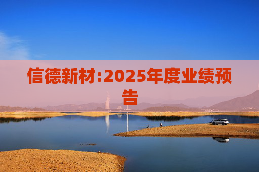信德新材:2025年度业绩预告
