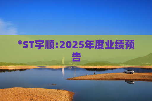*ST宇顺:2025年度业绩预告