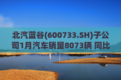 北汽蓝谷(600733.SH)子公司1月汽车销量8073辆 同比增长11.83%