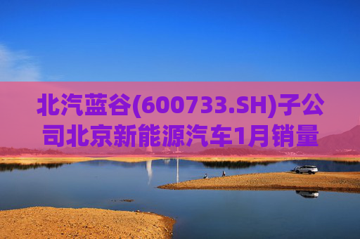 北汽蓝谷(600733.SH)子公司北京新能源汽车1月销量同比增加11.83%  第1张