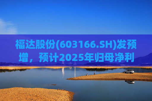 福达股份(603166.SH)发预增，预计2025年归母净利润同比增加67.31%到78.11%  第1张