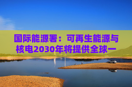 国际能源署：可再生能源与核电2030年将提供全球一半电力
