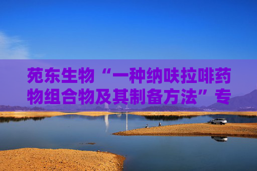 苑东生物“一种纳呋拉啡药物组合物及其制备方法”专利获授权