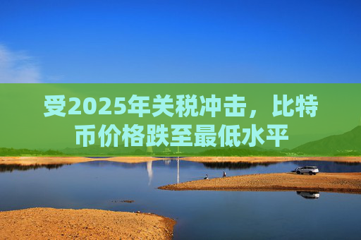 受2025年关税冲击，比特币价格跌至最低水平  第1张