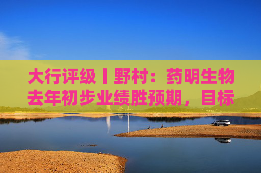 大行评级丨野村：药明生物去年初步业绩胜预期，目标价上调至50.54港元  第1张