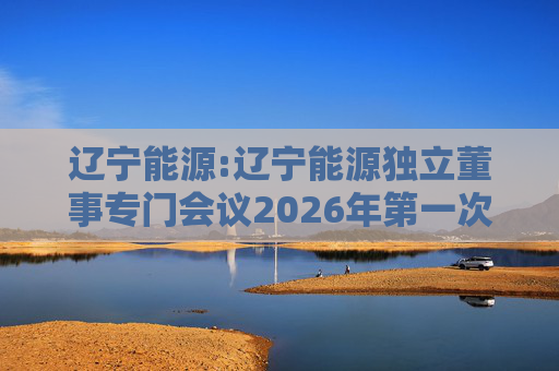 辽宁能源:辽宁能源独立董事专门会议2026年第一次会议决议