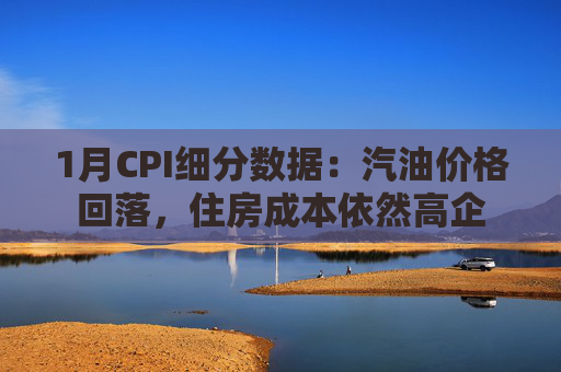 1月CPI细分数据：汽油价格回落，住房成本依然高企