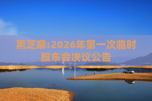 黑芝麻:2026年第一次临时股东会决议公告