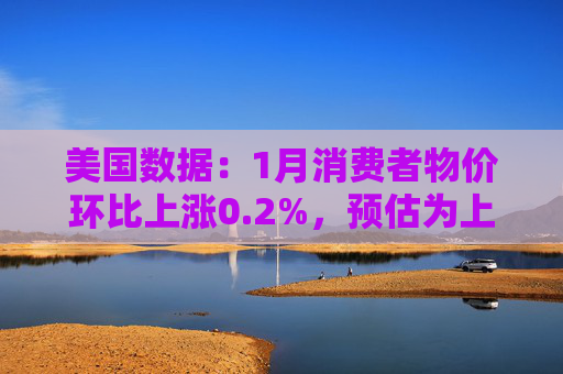 美国数据：1月消费者物价环比上涨0.2%，预估为上涨0.3%