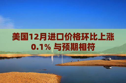 美国12月进口价格环比上涨0.1% 与预期相符