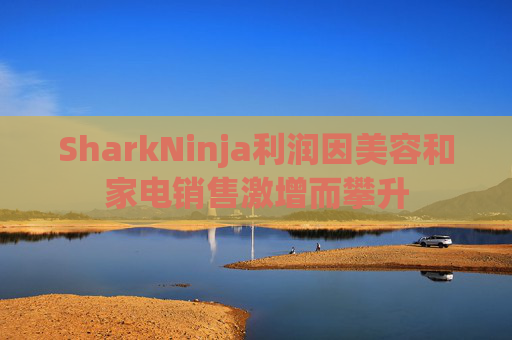 SharkNinja利润因美容和家电销售激增而攀升