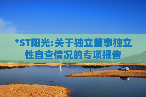 *ST阳光:关于独立董事独立性自查情况的专项报告