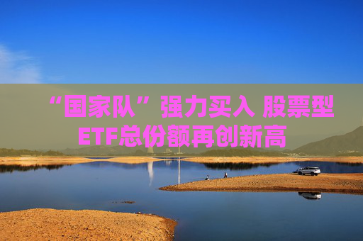 “国家队”强力买入 股票型ETF总份额再创新高