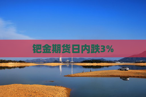 钯金期货日内跌3%