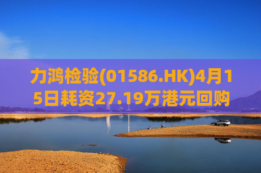 力鸿检验(01586.HK)4月15日耗资27.19万港元回购11.6万股  第1张
