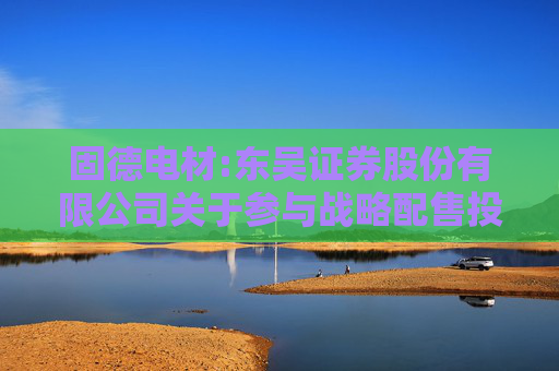 固德电材:东吴证券股份有限公司关于参与战略配售投资者的专项核查报告  第1张