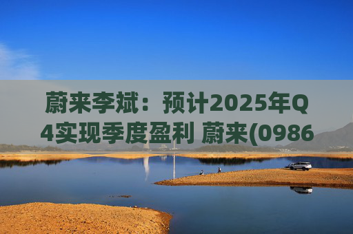 蔚来李斌：预计2025年Q4实现季度盈利 蔚来(09866)迈入可持续发展新阶段  第1张