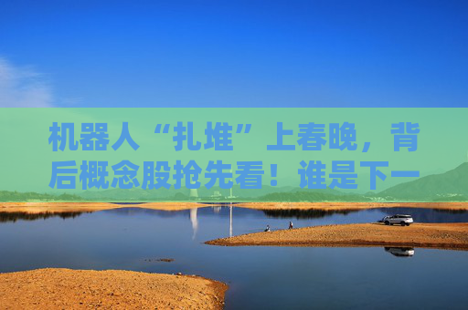 机器人“扎堆”上春晚，背后概念股抢先看！谁是下一个“宇树”？