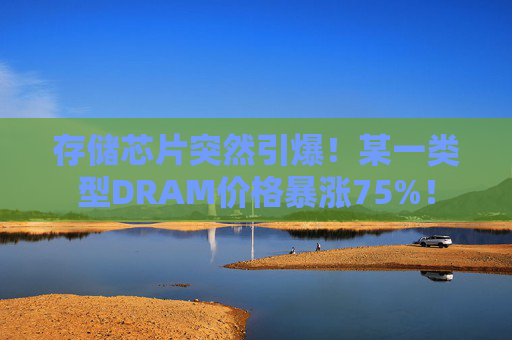 存储芯片突然引爆！某一类型DRAM价格暴涨75%！