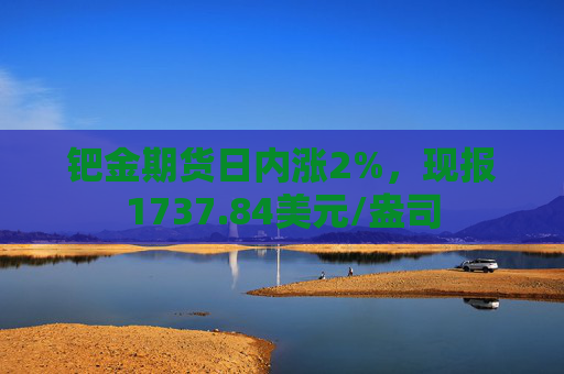 钯金期货日内涨2%，现报1737.84美元/盎司