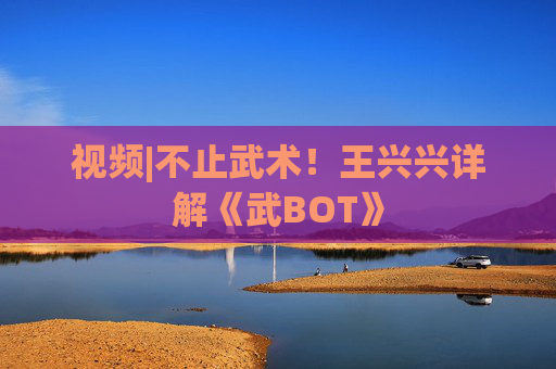 视频|不止武术！王兴兴详解《武BOT》
