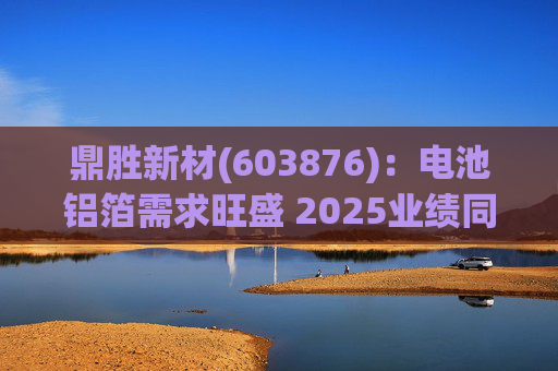 鼎胜新材(603876)：电池铝箔需求旺盛 2025业绩同比高增