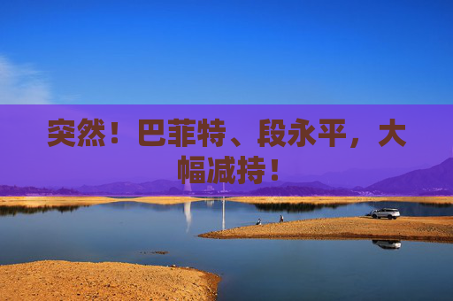 突然！巴菲特、段永平，大幅减持！