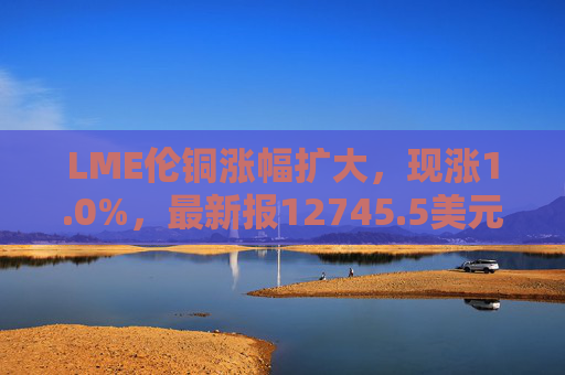 LME伦铜涨幅扩大，现涨1.0%，最新报12745.5美元/吨
