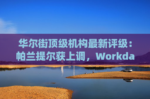 华尔街顶级机构最新评级：帕兰提尔获上调，Workday遭下调