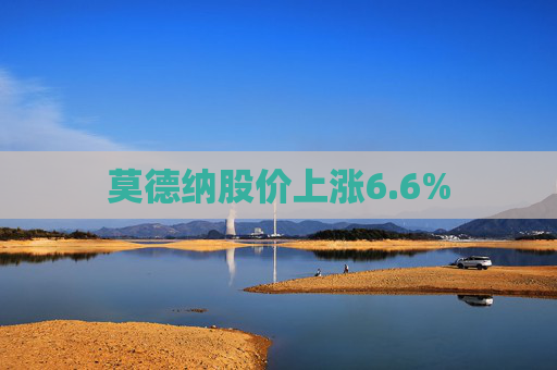 莫德纳股价上涨6.6%