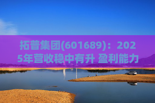 拓普集团(601689)：2025年营收稳中有升 盈利能力短期承压