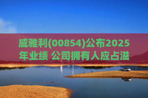 威雅利(00854)公布2025年业绩 公司拥有人应占溢利5095.8万港元  第1张