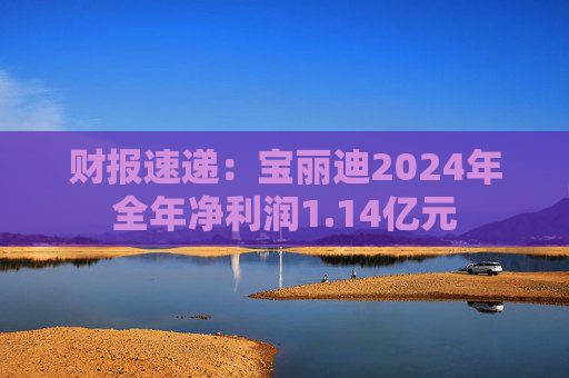 财报速递：宝丽迪2024年全年净利润1.14亿元