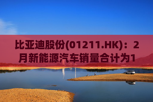 比亚迪股份(01211.HK)：2月新能源汽车销量合计为19.019万辆  第1张