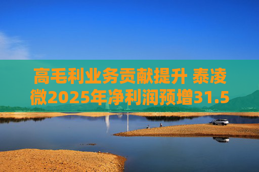 高毛利业务贡献提升 泰凌微2025年净利润预增31.53%  第1张