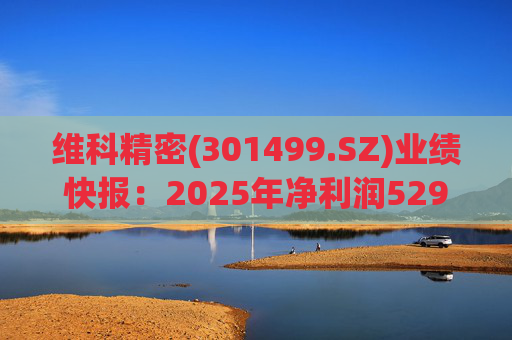 维科精密(301499.SZ)业绩快报：2025年净利润5293.82万元 同比增长16.85%