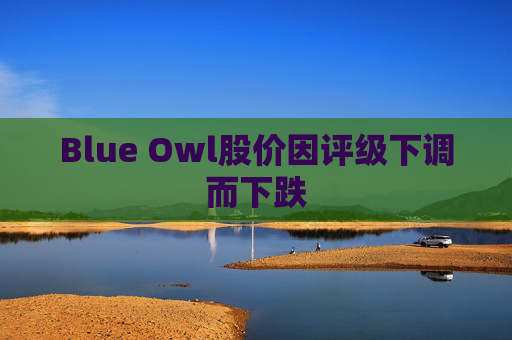 Blue Owl股价因评级下调而下跌