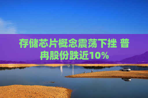 存储芯片概念震荡下挫 普冉股份跌近10%