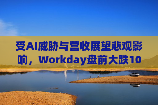 受AI威胁与营收展望悲观影响，Workday盘前大跌10%
