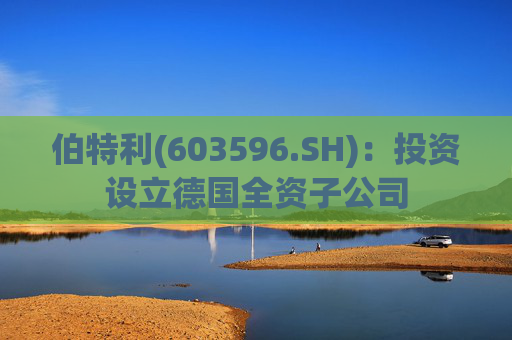 伯特利(603596.SH)：投资设立德国全资子公司