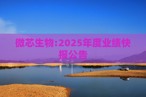 微芯生物:2025年度业绩快报公告