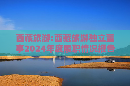 西藏旅游:西藏旅游独立董事2024年度履职情况报告（高金波）