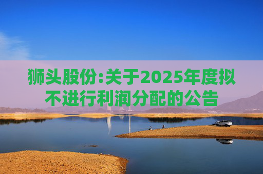 狮头股份:关于2025年度拟不进行利润分配的公告