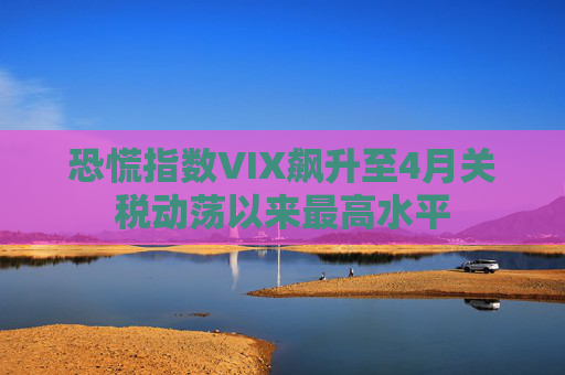 恐慌指数VIX飙升至4月关税动荡以来最高水平  第1张