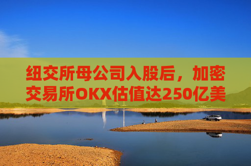 纽交所母公司入股后，加密交易所OKX估值达250亿美元  第1张